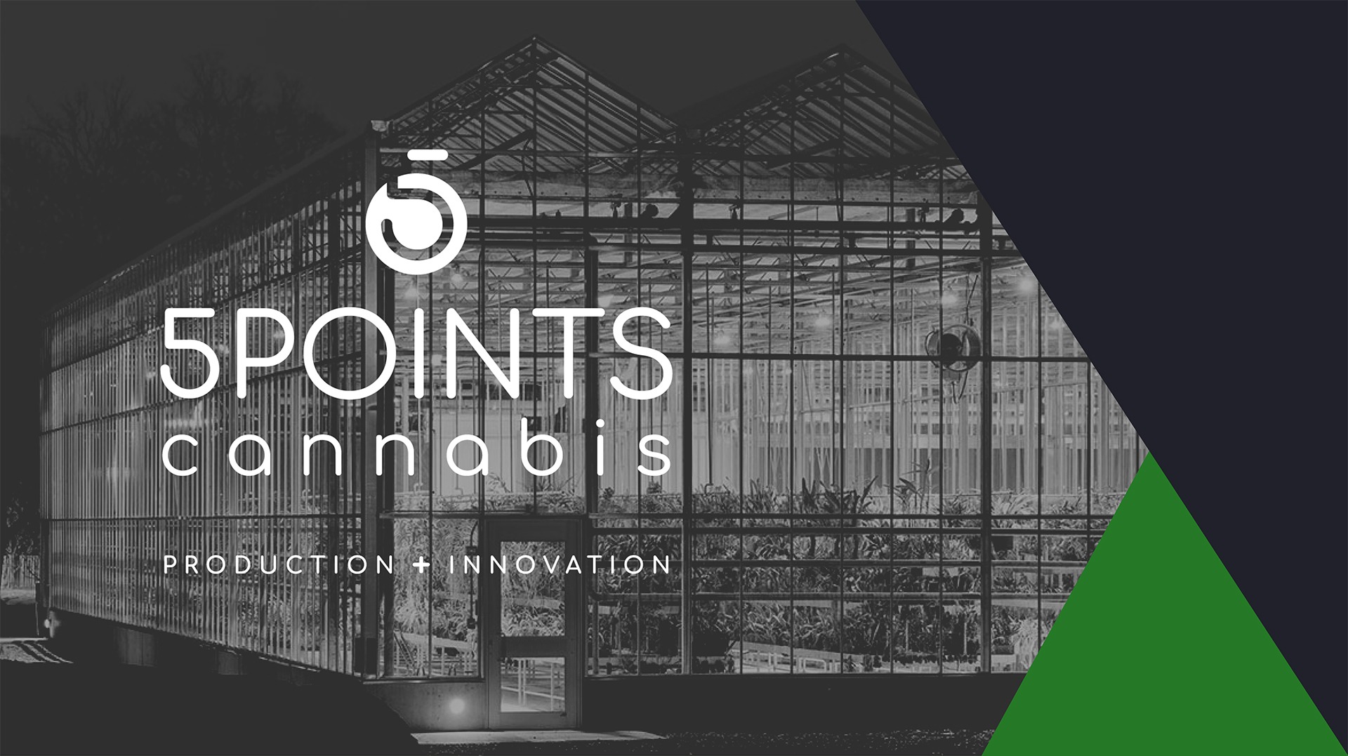 Mise en opération d’un imposant complexe de production de cannabis thérapeutique en serre